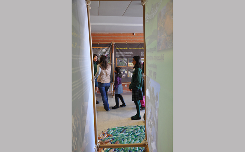 Semana Ciencias en Los Tilos